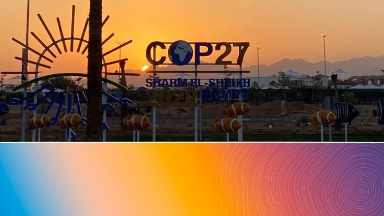 COP27 Readout: Key Priorities for Impactful Climate Results