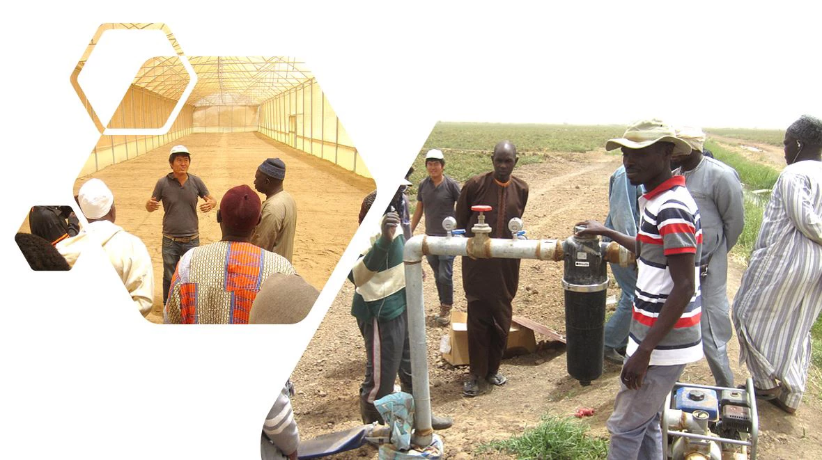 senegal inclusive business