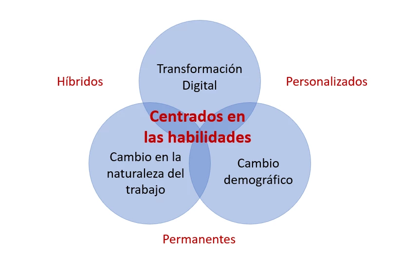 Diagrama: Ajustes requeridos por centros de educación