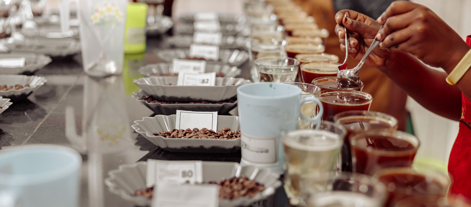 Brewing Carbon Credits Like a Barista: Mobilizing Development Finance Through Carbon Markets