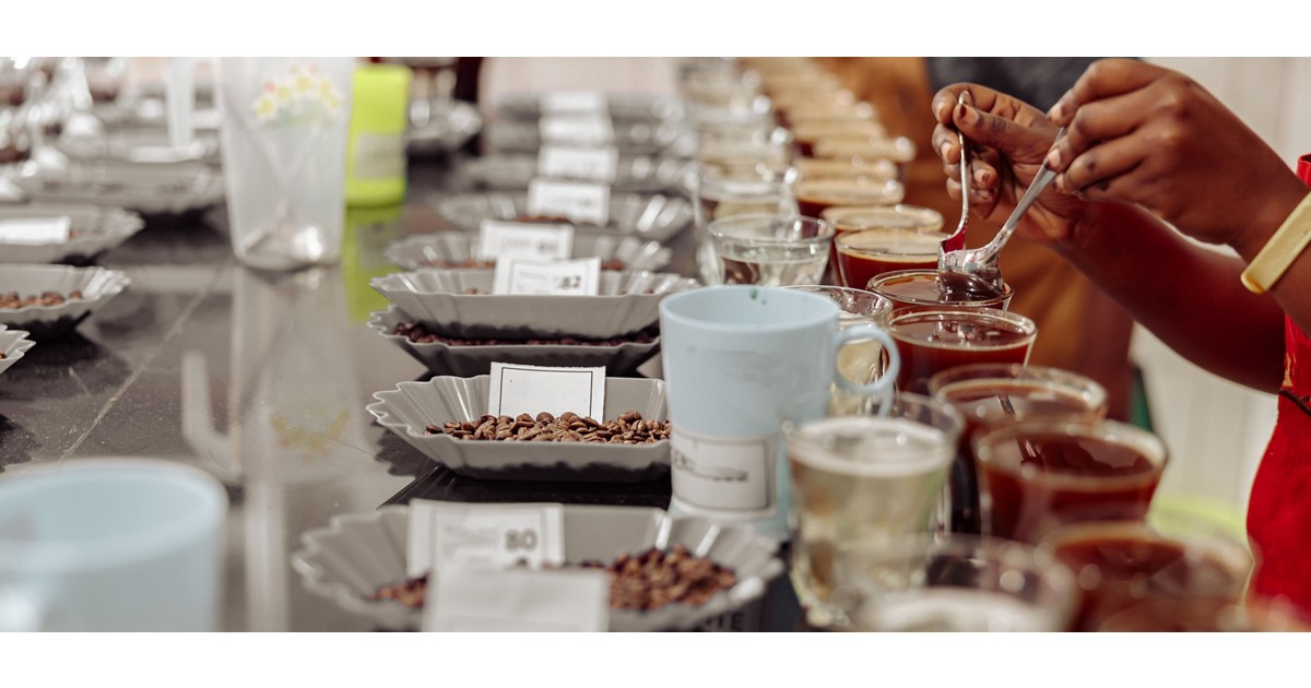 Brewing Carbon Credits Like a Barista: Mobilizing Development Finance Through Carbon Markets