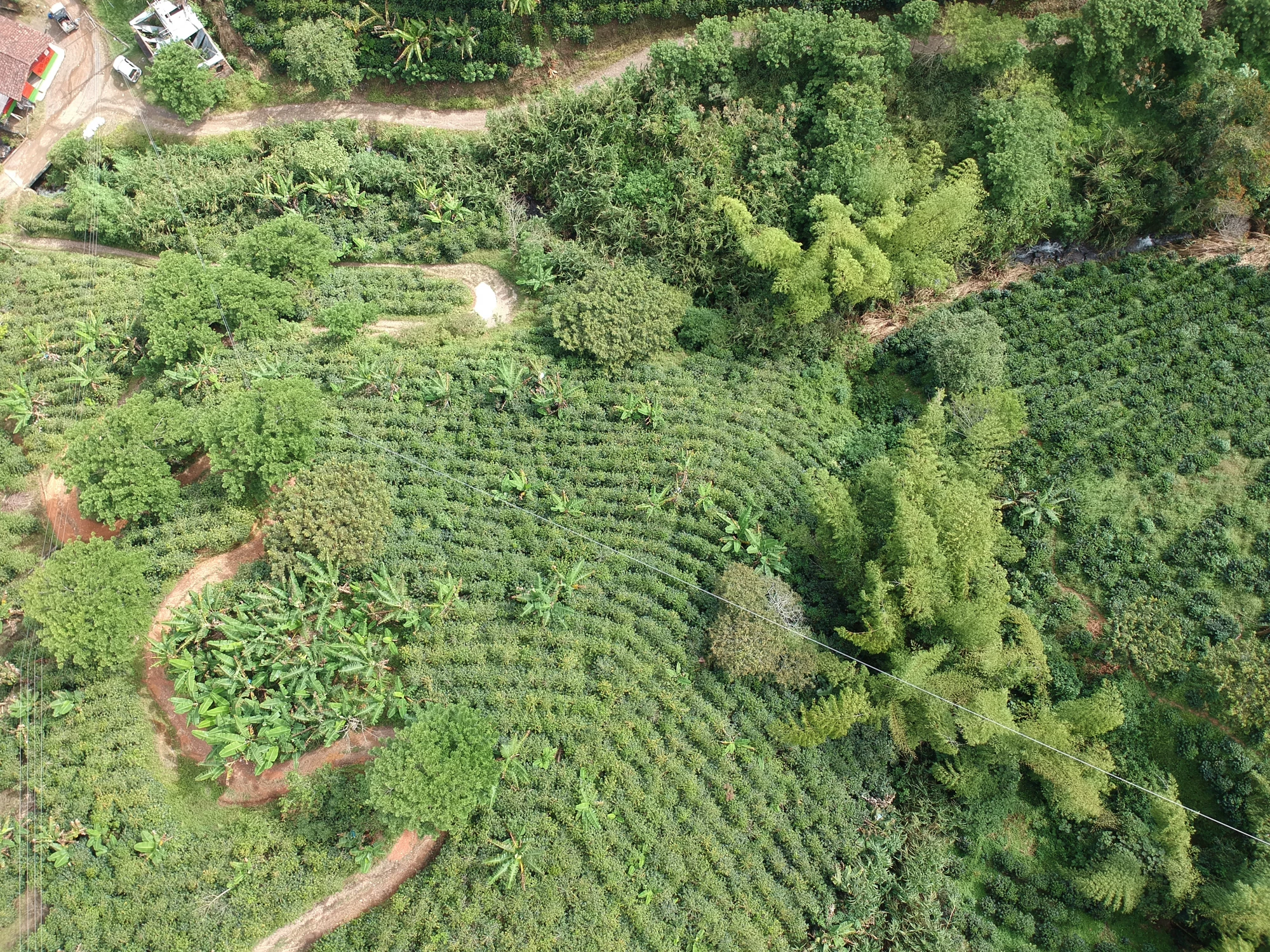 DCIM/100MEDIA/DJI_0079.JPG