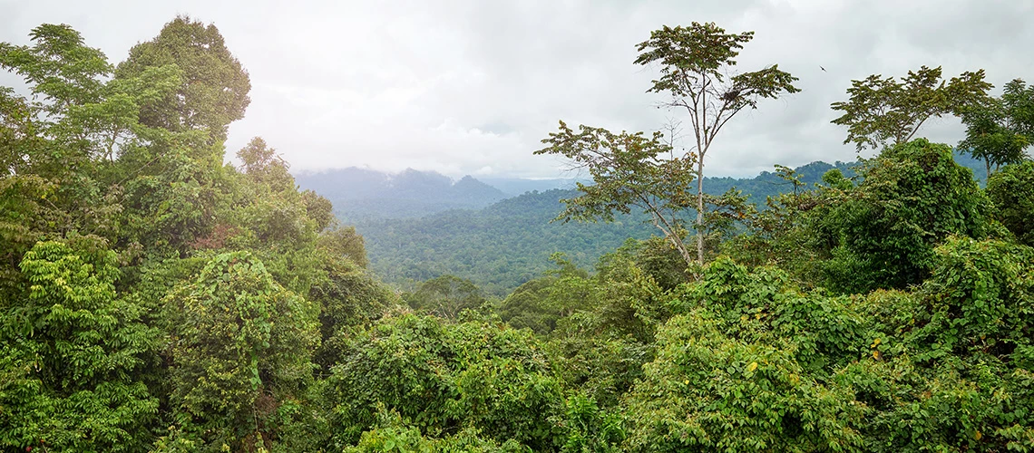 Protecting nature, protecting jobs, protecting portfolios: A practical guide for Malaysia’s financial sector