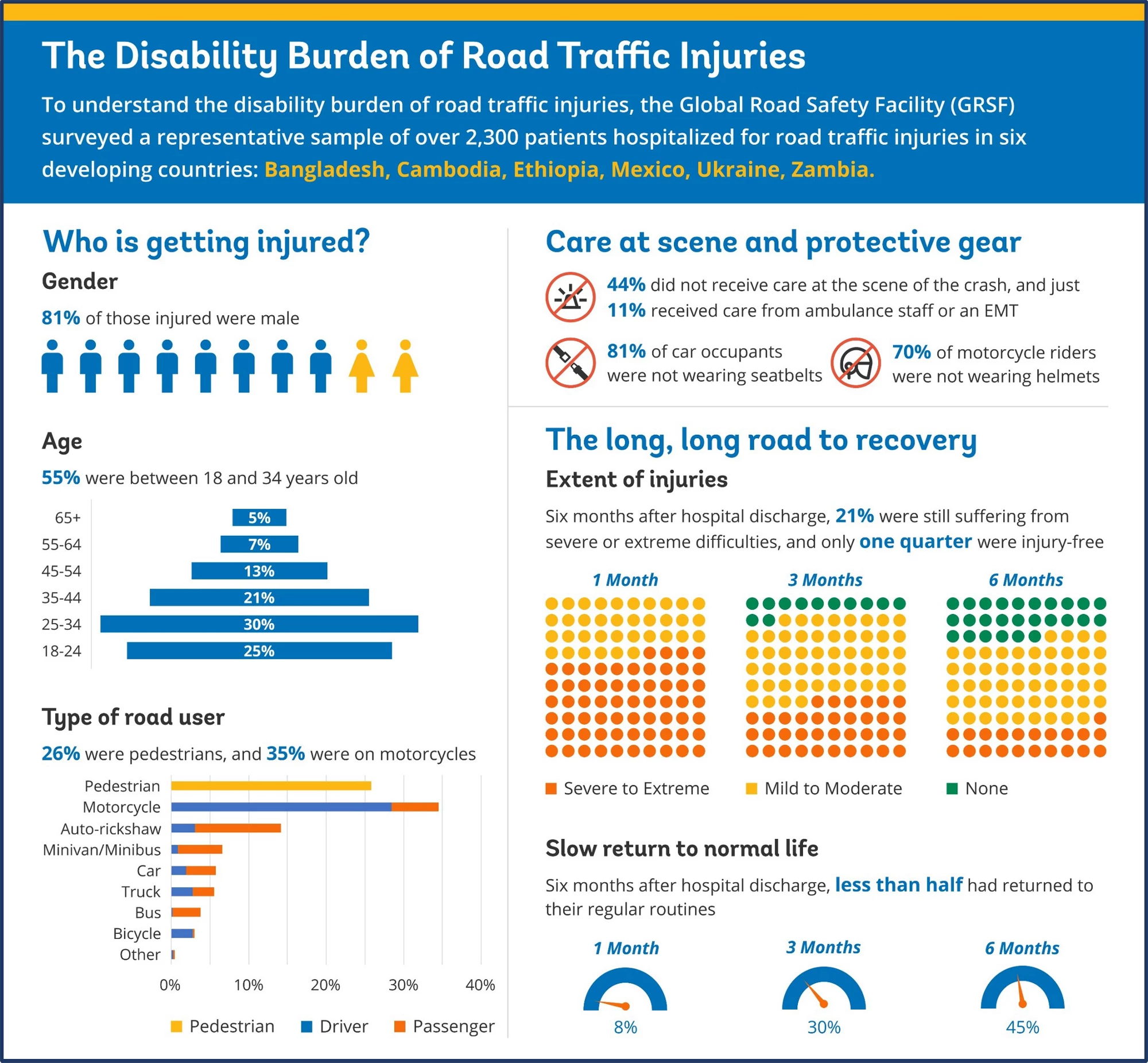 An infographic showing the disability burden of road traffic injuries