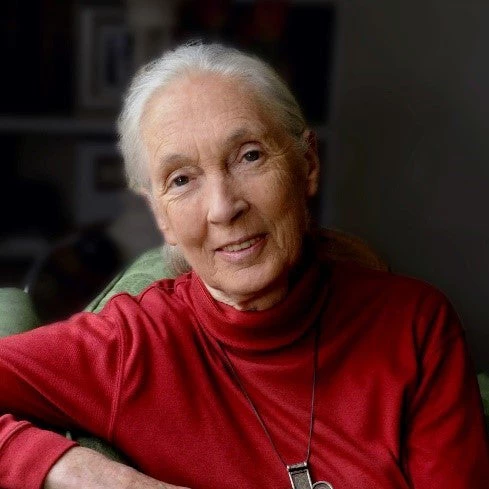 Dr. Jane  Goodall