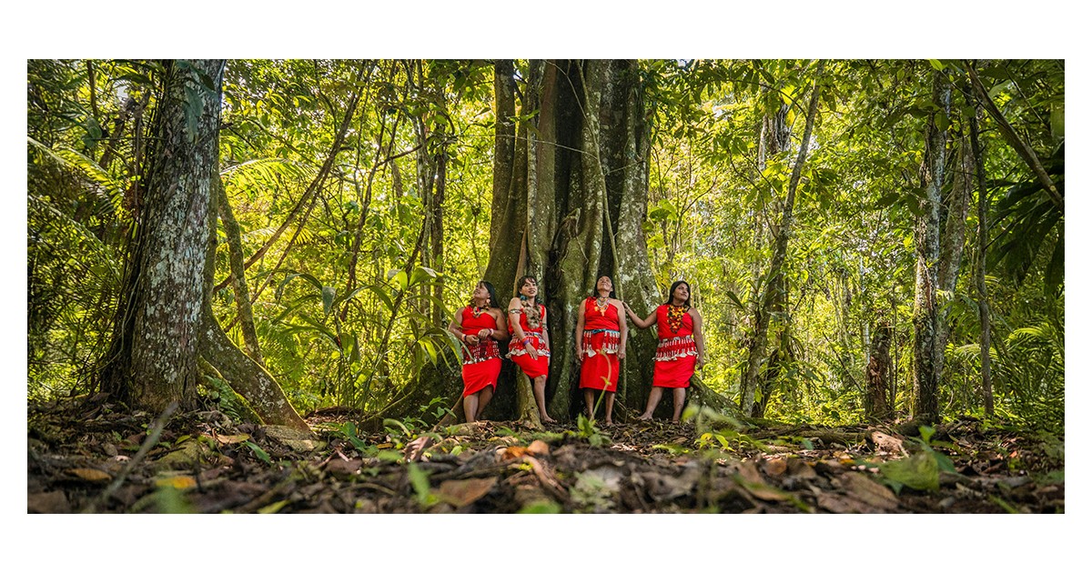 Protecting Indigenous Peoples’ rights amid growing demand for land and ...
