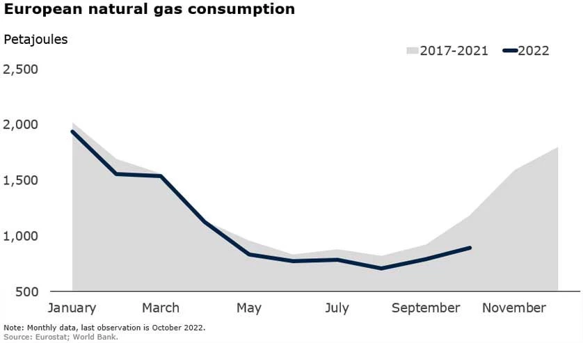 European Natural Gas consumption