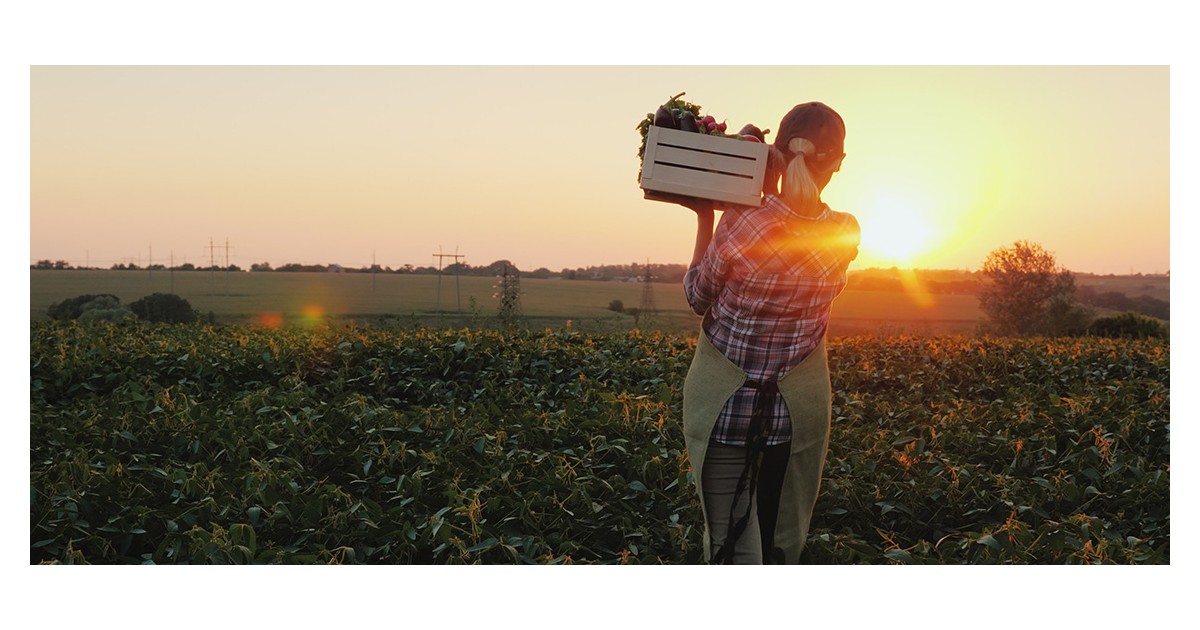 Global agricultural markets in 2026: stabilizing prices, persisting risks