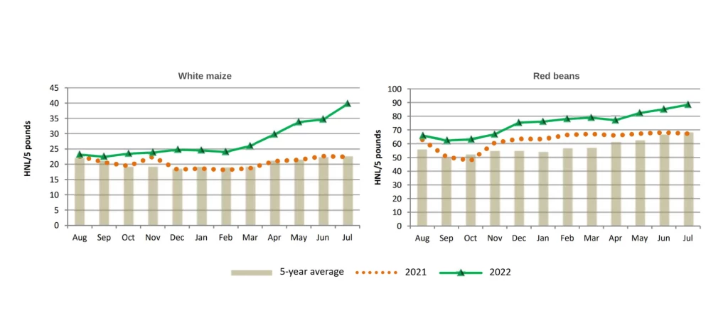 Figure 7. Local food prices in Tegucigalpa over the years 