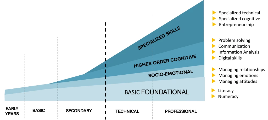 Skills development along the education cycle 