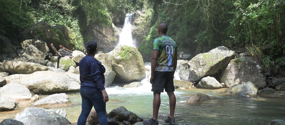 El empleo que surge en los bosques de la República Dominicana