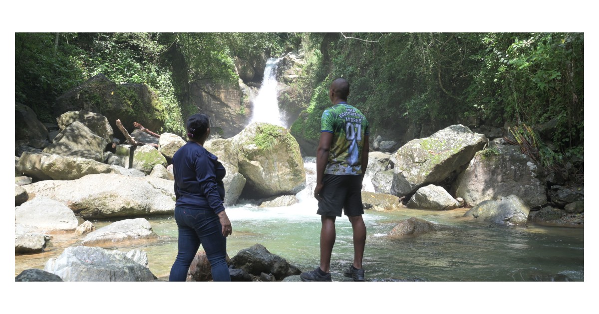 The jobs that emerge from the forests of the Dominican Republic