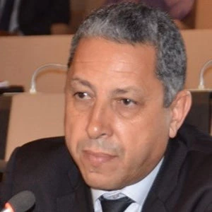 Fouad Chafiqi