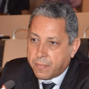 Fouad  Chafiqi