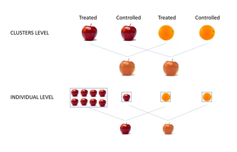 Basket of fruit and clusters