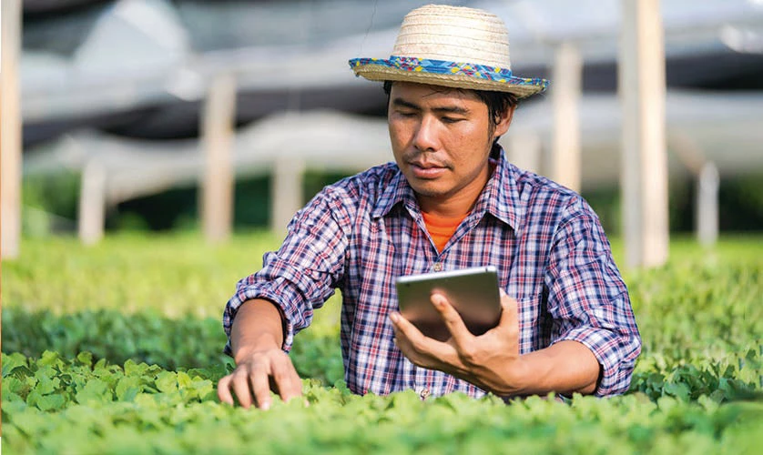 Gardener controlling plants with tablet in greenhouse. 