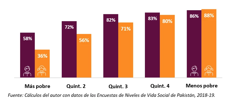 Grafico sobre Escolarización por sexo y riqueza del hogar 