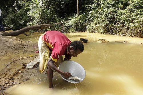Gold panning in LTTC-Mandra forest concession © Program on Forests 
