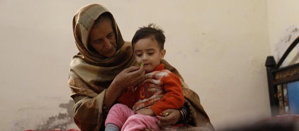 Stronger Together: Lessons from Co-Financing Pakistan's National Health Support Program