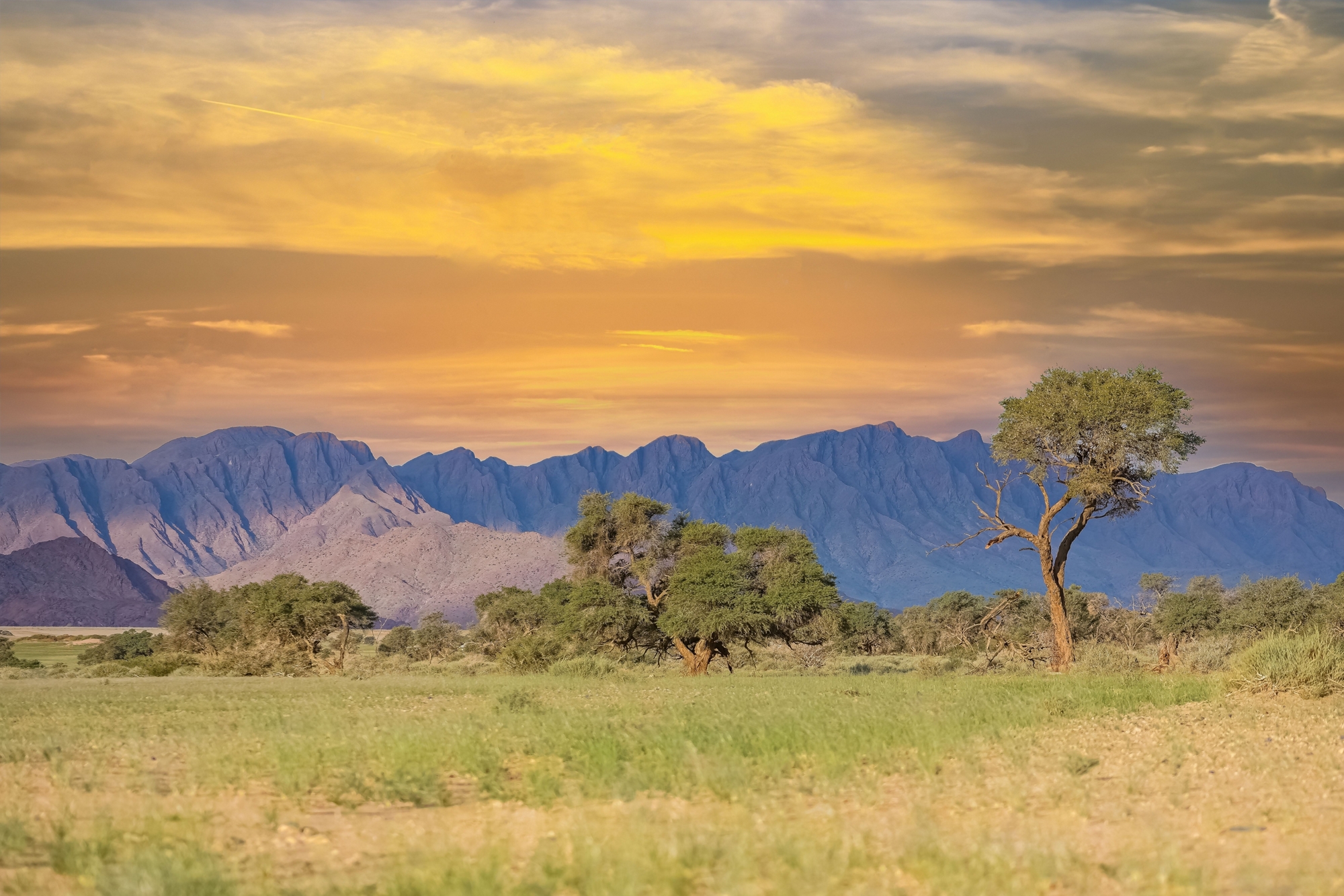 A Value for Money Analysis of GEF Interventions in Land Degradation and Biodiversity