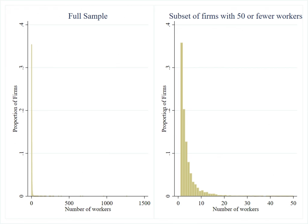 Figure 1: histogram of firm size