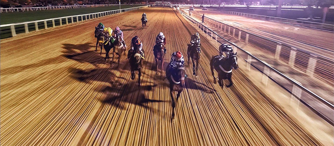 Horse race at night | © shutterstock.com