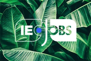 Job Opportunity: UNEG Guidance Short Term Consultant
