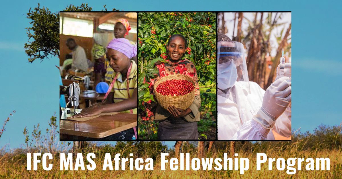 IFC MAS Fellowship Program 