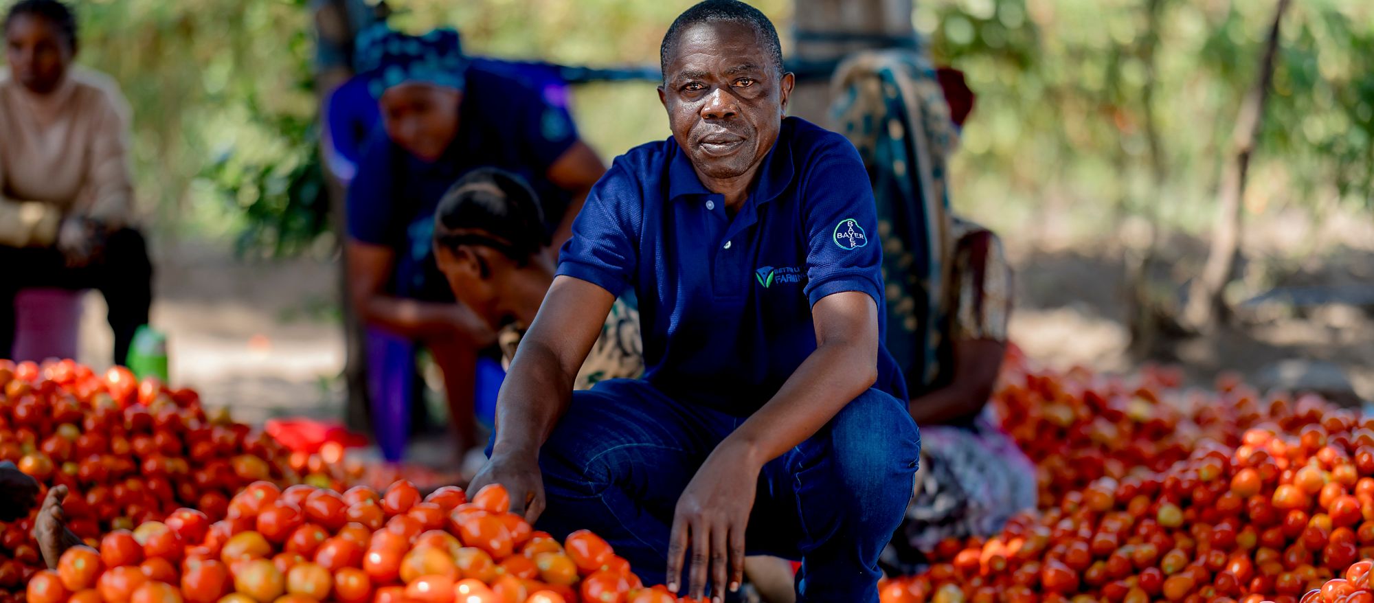 Building the Market for Resilience: A New Opportunity for Financial Institutions