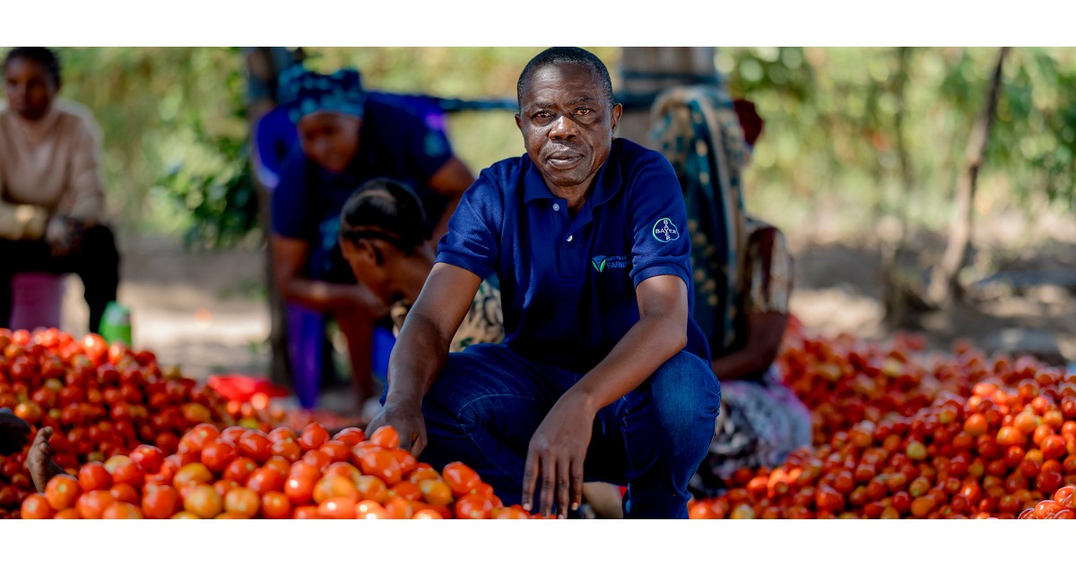 Building the Market for Resilience: A New Opportunity for Financial Institutions