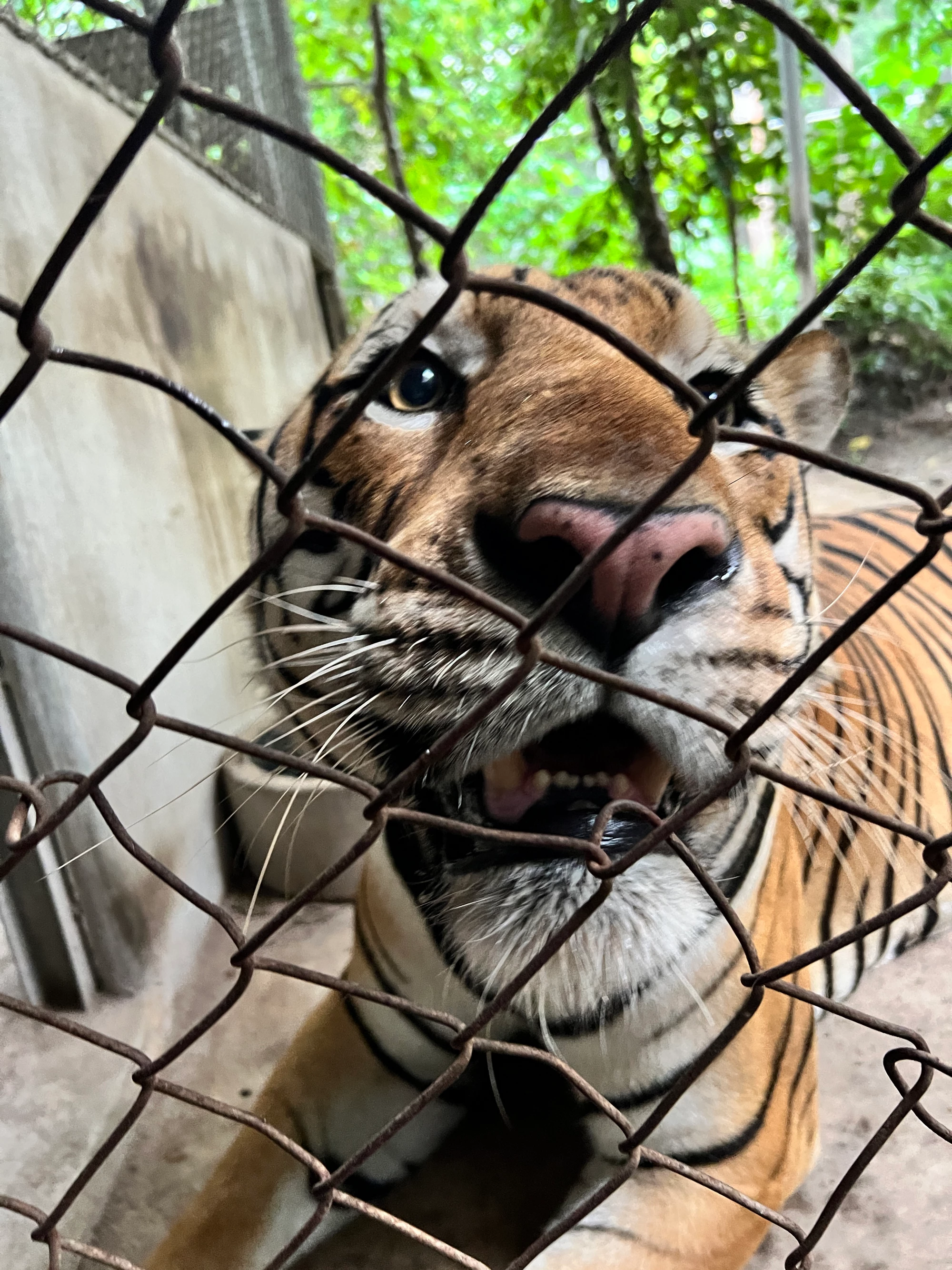 Evaluation of GEF Support to Combat Illegal Wildlife Trade (IWT)