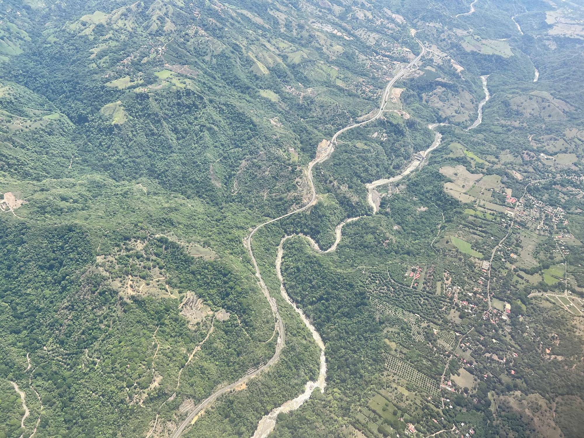 Aerial green two roads