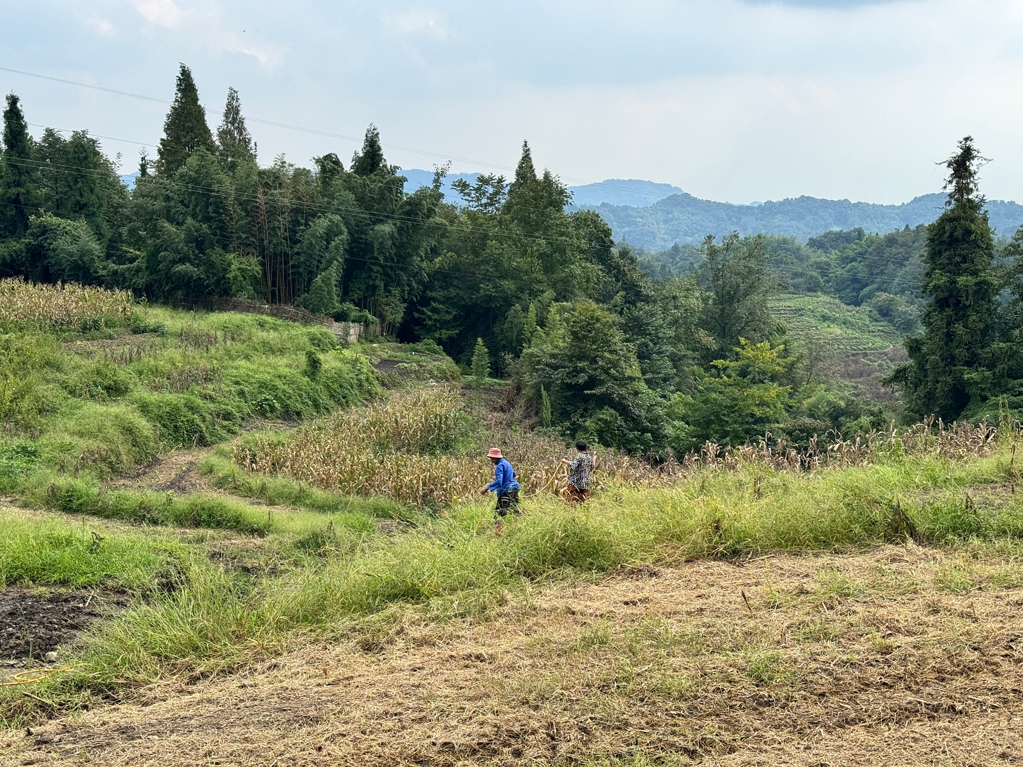 Evaluation of Programmatic Approaches in the GEF