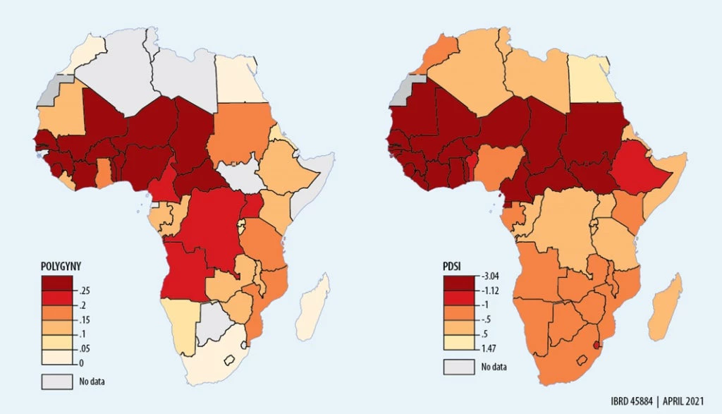 Distribution of Polygyny and Drought in Africa