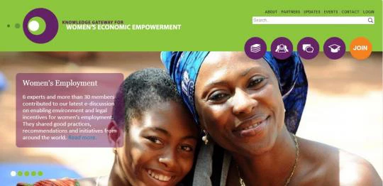 Promoting Women's Economic Empowerment via the Internet's