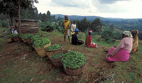  Curt Carnemark/World Bank