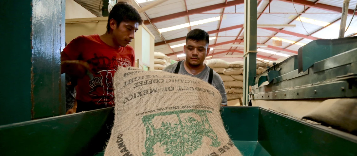 Coffee producers in Mexico | World Bank