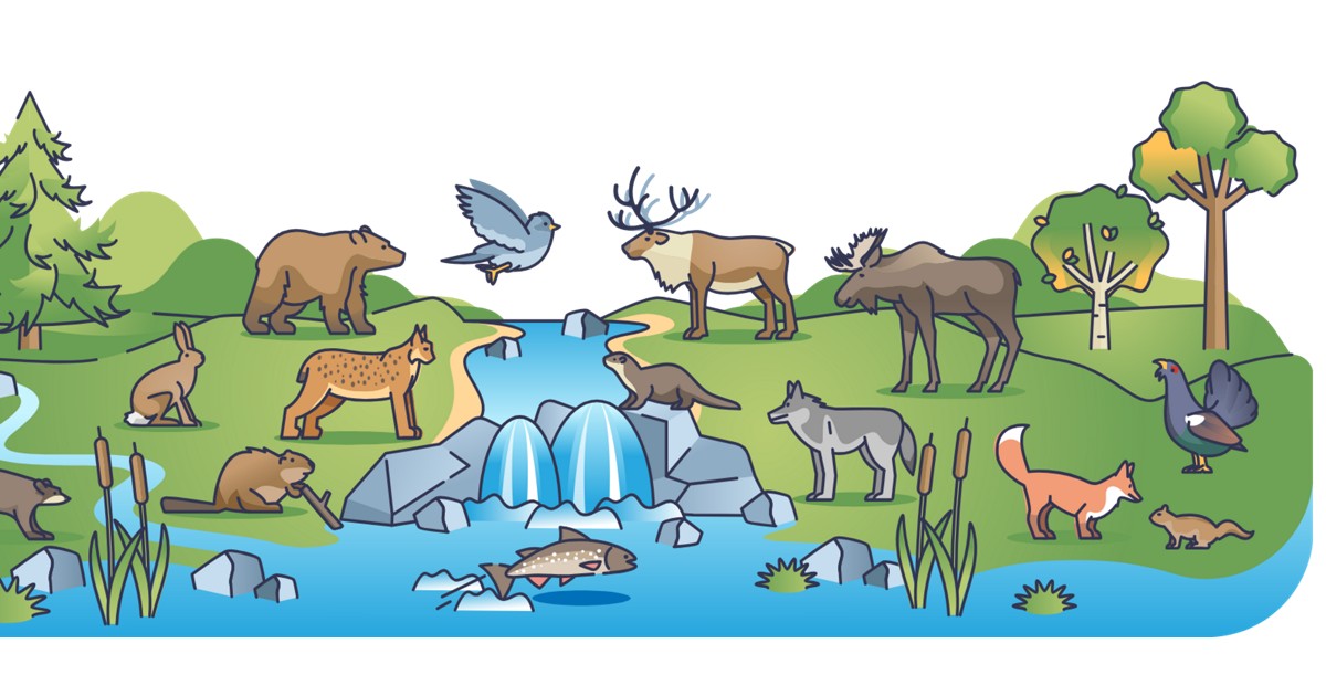 The Promise and Policy Implications of the 30x30 Initiative for Global Biodiversity Conservation