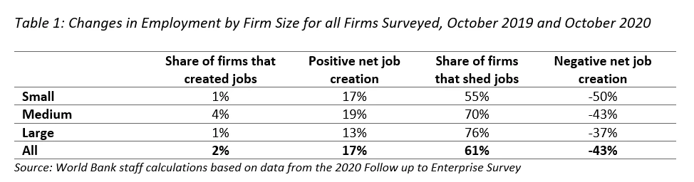 Table 1: Changes in Employment by Firm Size for all Firms Surveyed, October 2019 and October 2020