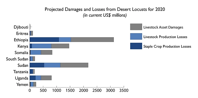 Emerging swarms are likely to cause widespread crop losses and damages to livestock assets, deepening already serious levels of food insecurity across the Horn of Africa, and beyond. Chart: S. D?Alessandro/World Bank