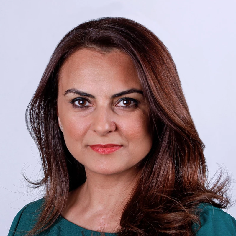 Mina Al-Oraibi