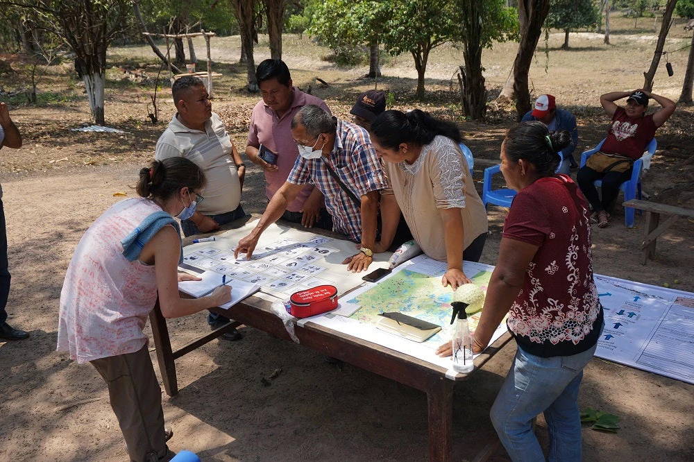 Nature-based solutions stakeholder engagement 