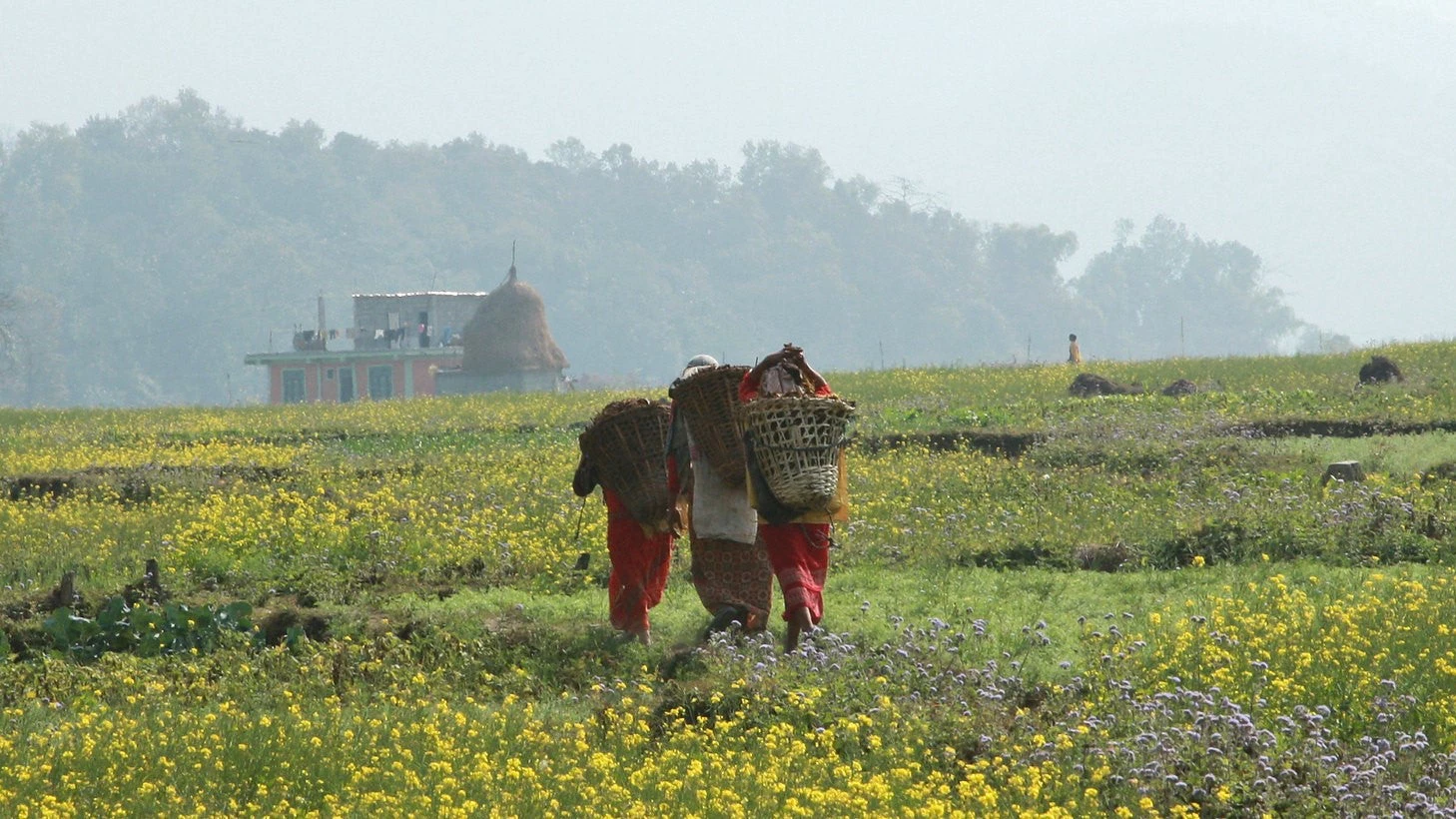 Nepal