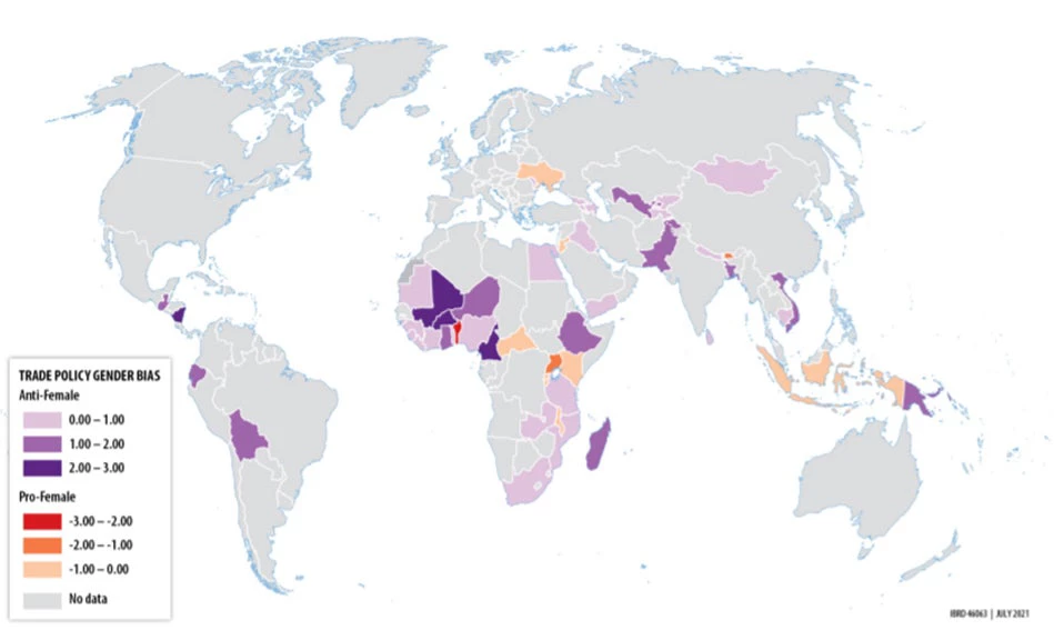 The Gender Bias of Tariff Protection Across the Developing World