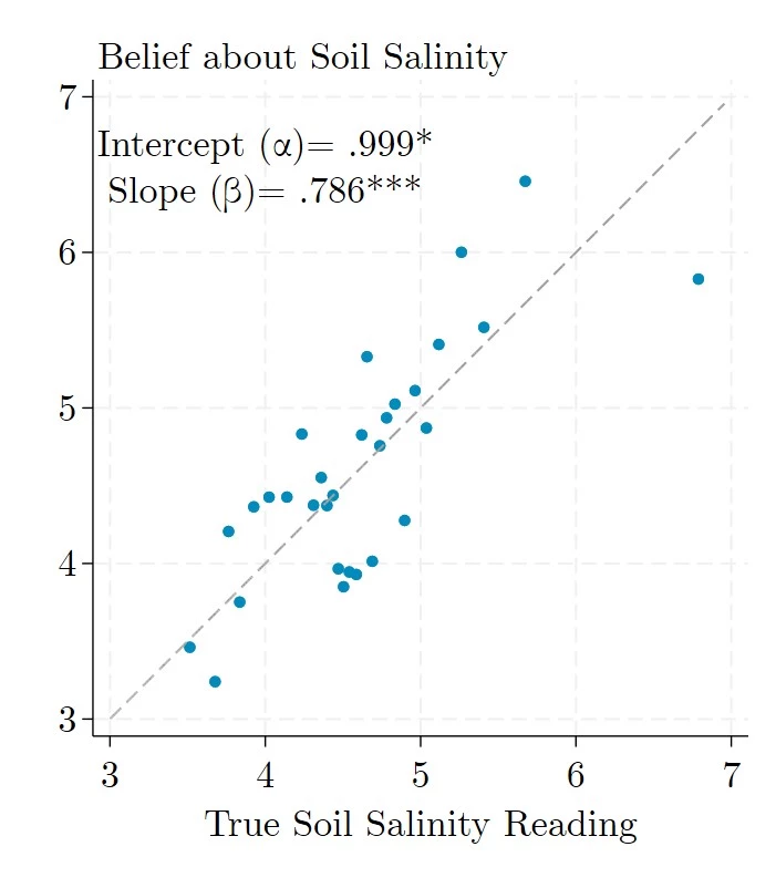 On average, farmers hold remarkably correct beliefs about soil salinity on their plots