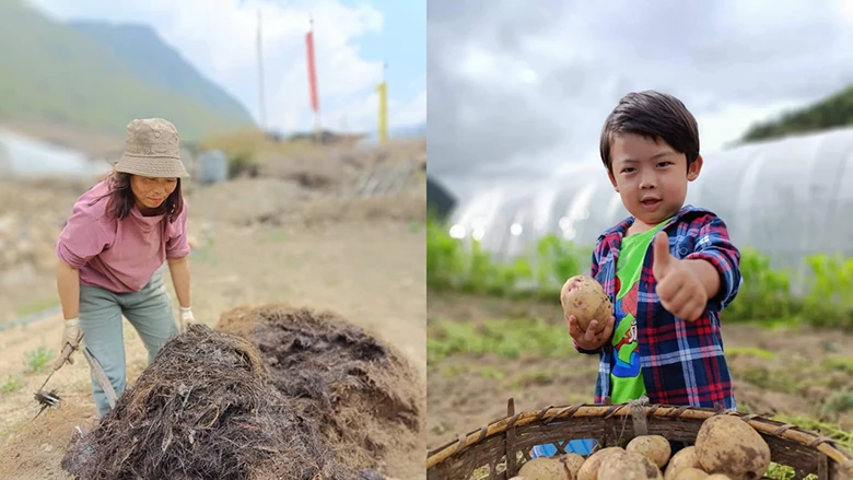 Pema and her oldest son harvesting her potato field.