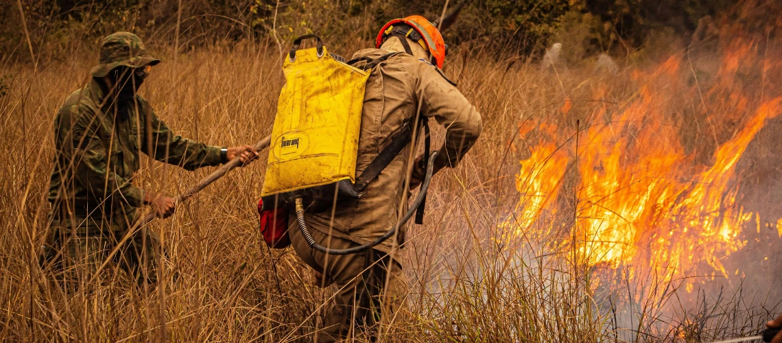 Breaking the cycle: building wildfire resilience across Latin America 