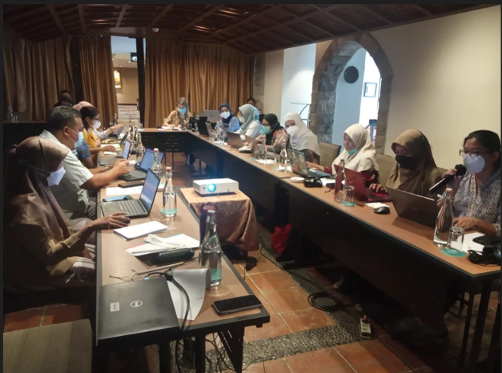 GRB Workshop on Gender Mainstreaming for Ministry of Health