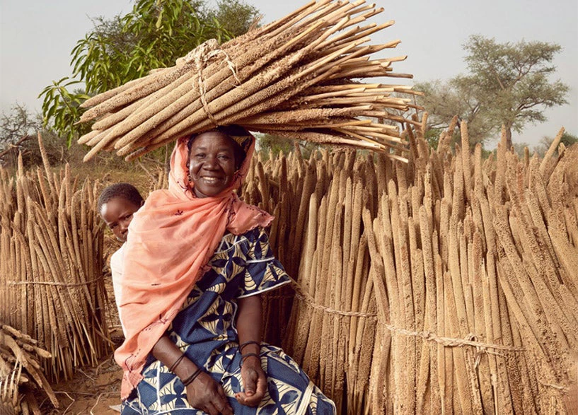 Portrait of Abou amid millet stalks dried in the sun