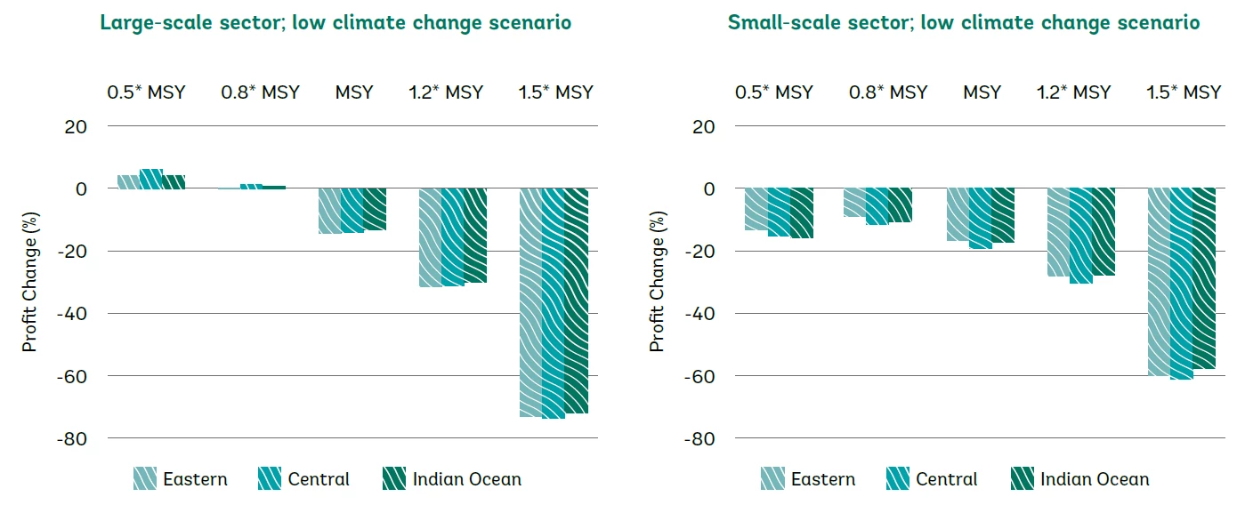 The projected change in economic returns for small-scale and large-scale fishing sectors.